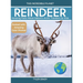 Reindeer: Amazing Facts About Nature's Arctic Travelers for Kids