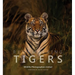 Remembering Tigers