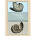 Ambonese Curiosity Cabinet