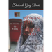 Woman With The issue Of Blood: Revised Edition