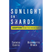 Sunlight on Shards: Adoption From the Inside Out