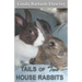 Tails of Two House Rabbits