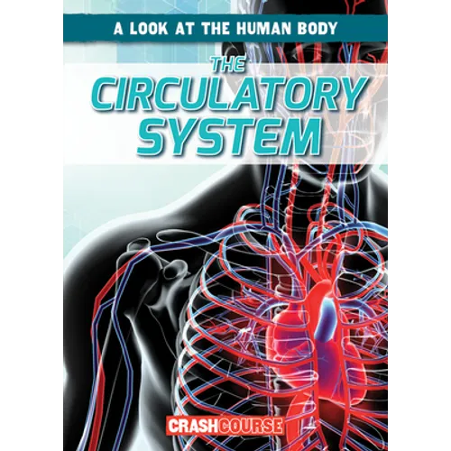 The Circulatory System