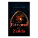 The Prisoner of Zenda: Dystopian Novel