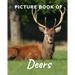 Picture Book of Deers: Fabulous Picture Book for Alzheimer's Patients and Seniors with Dementia.