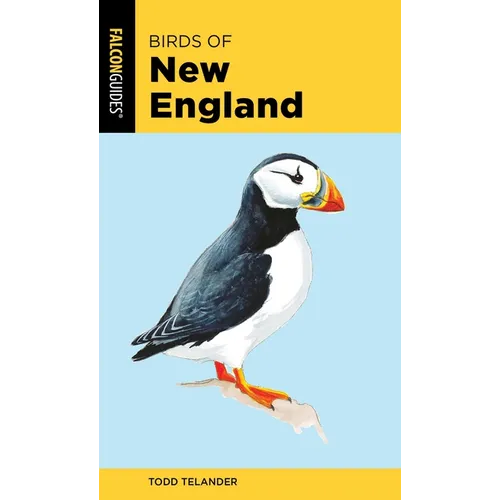 Birds of New England