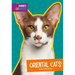 Oriental Cats