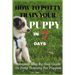 How To Potty Train Your Puppy In 7 days: Complete Step By Step Guide On Potty Training For Puppies