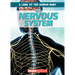 The Nervous System
