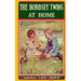 The Bobbsey Twins at Home