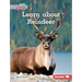 Learn about Reindeer