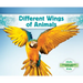 Different Wings of Animals