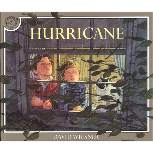 Hurricane