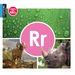 RR