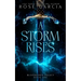 A Storm Rises