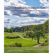 Boston's Franklin Park: Olmsted, Recreation, and the Modern City