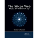 The Silicon Web: Physics for the Internet Age