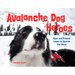 Avalanche Dog Heroes: Piper and Friends Learn to Search the Snow