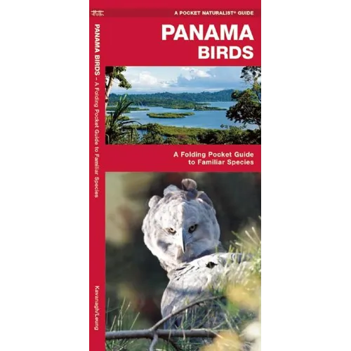 Panama Birds: A Folding Pocket Guide to Familiar Species