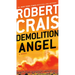 Demolition Angel