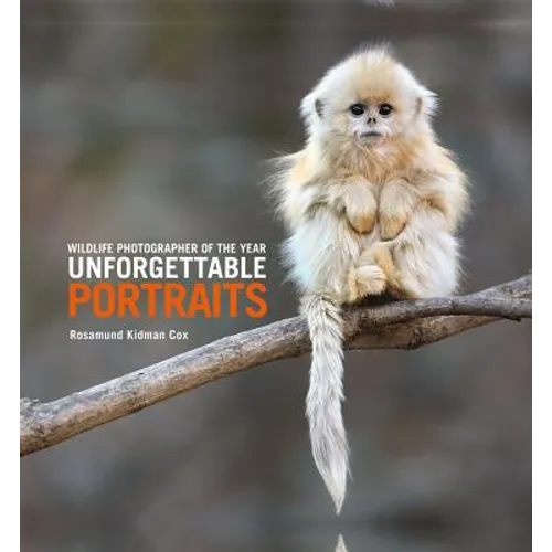 Unforgettable Portraits