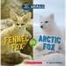 Fennec Fox or Arctic Fox (Wild World: Hot and Cold Animals): Volume 2