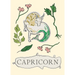Capricorn