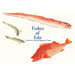 Fishes of EDO: A Guide to Classical Japanese Fishes