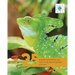 La vida silvestre en Centroamerica 1: 25 animales asombrosos que viven en las selvas tropicales y los rios