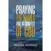 Praying the Names and Attributes of God: Synergy with the Trinity in Prayer a Collaboration with Extraordinary Outcomes