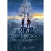 The Trials of Ildarwood: Cinders in the Snow