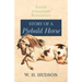 Story of a Piebald Horse