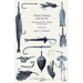 Salmon Fishing with the Fly - Also Notes on Fly-Fishing for Sea-Trout