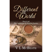 Different World: Part 5 of The Ambition & Destiny Series