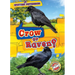 Crow or Raven?