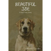Beautiful Joe: A Dog's Own Story