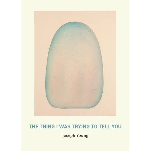 The Thing I Was Trying to Tell You