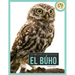 El Búho