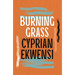 Burning Grass