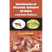 Identification of Prawns/Shrimps and their Culture
