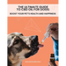 The Ultimate Guide to CBD Oil for Dogs: Boost Your Pet's Health and Happiness