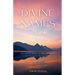 Divine Names: Harness the Power of Allah's 99 Names for Success in Work and Life