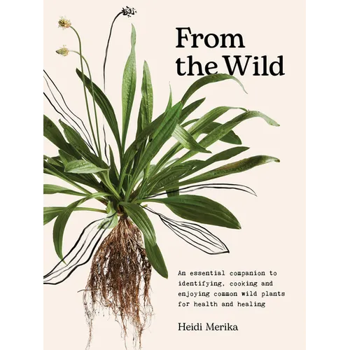 From the Wild: The Essential Companion to Identifying, Using and Enjoying Common Wild Plants for Health and Healing