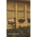 Anomaly