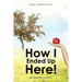How I Ended Up Here!: My Wellness Journey