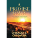 A Promise of Dawn
