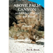 Above Palm Canyon and Other Places in the Mind