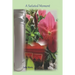 A Satiated Moment: The Journey Emerald's Travels