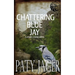 Chattering Blue Jay: Gabriel Hawke Novel