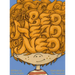 The Bed Head of Ned